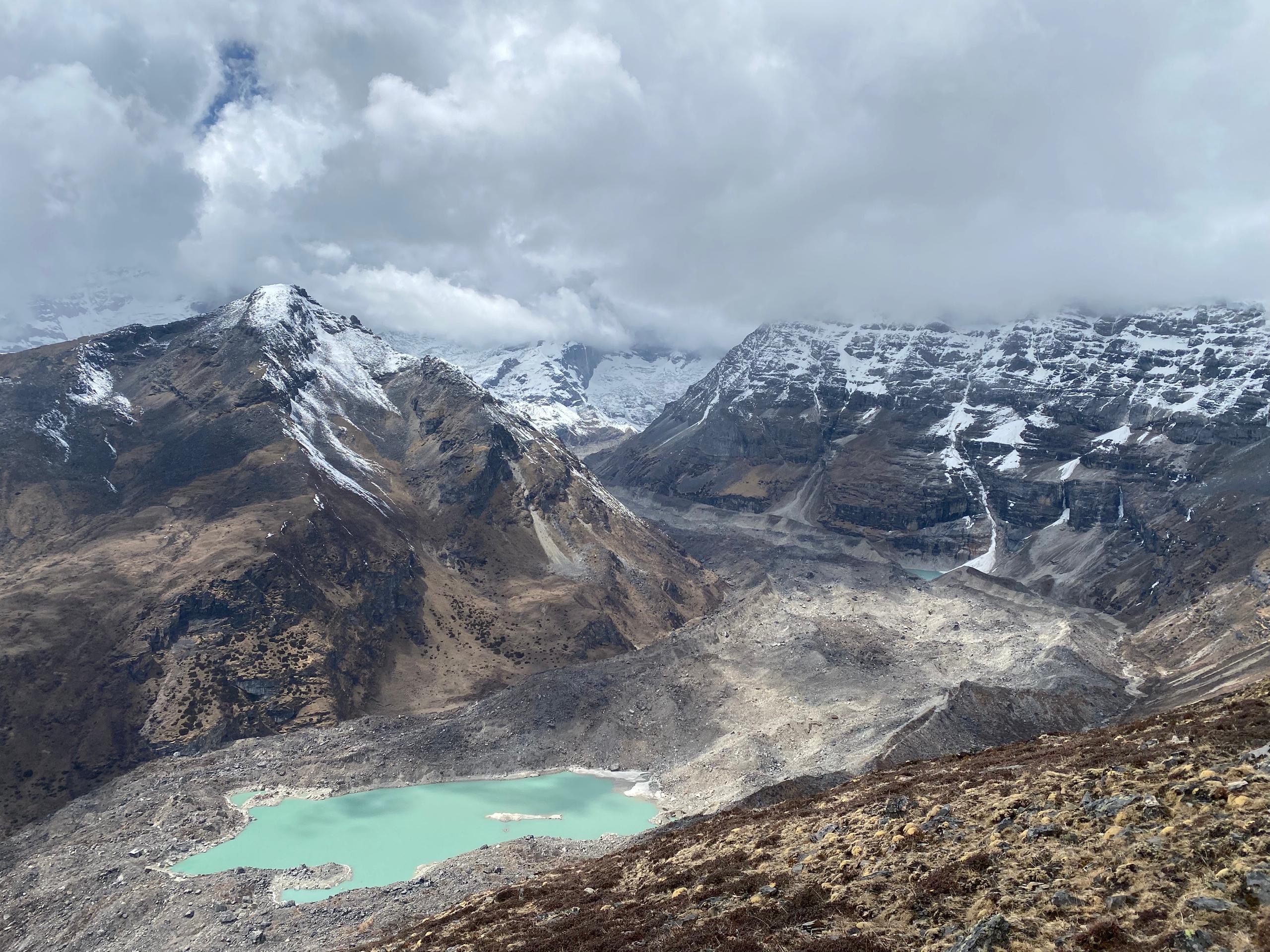 Sunlight through trees in Bhutan