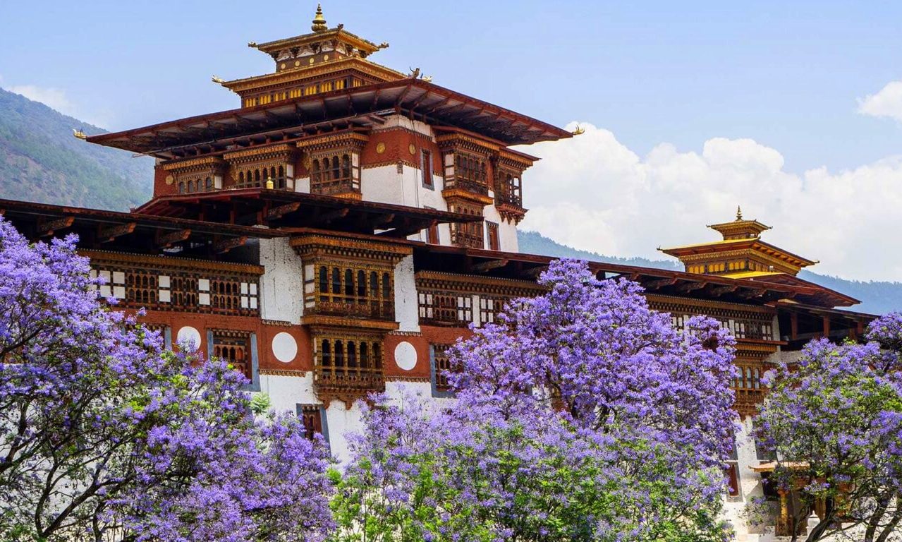 Autumn colors in Bhutanese mountains