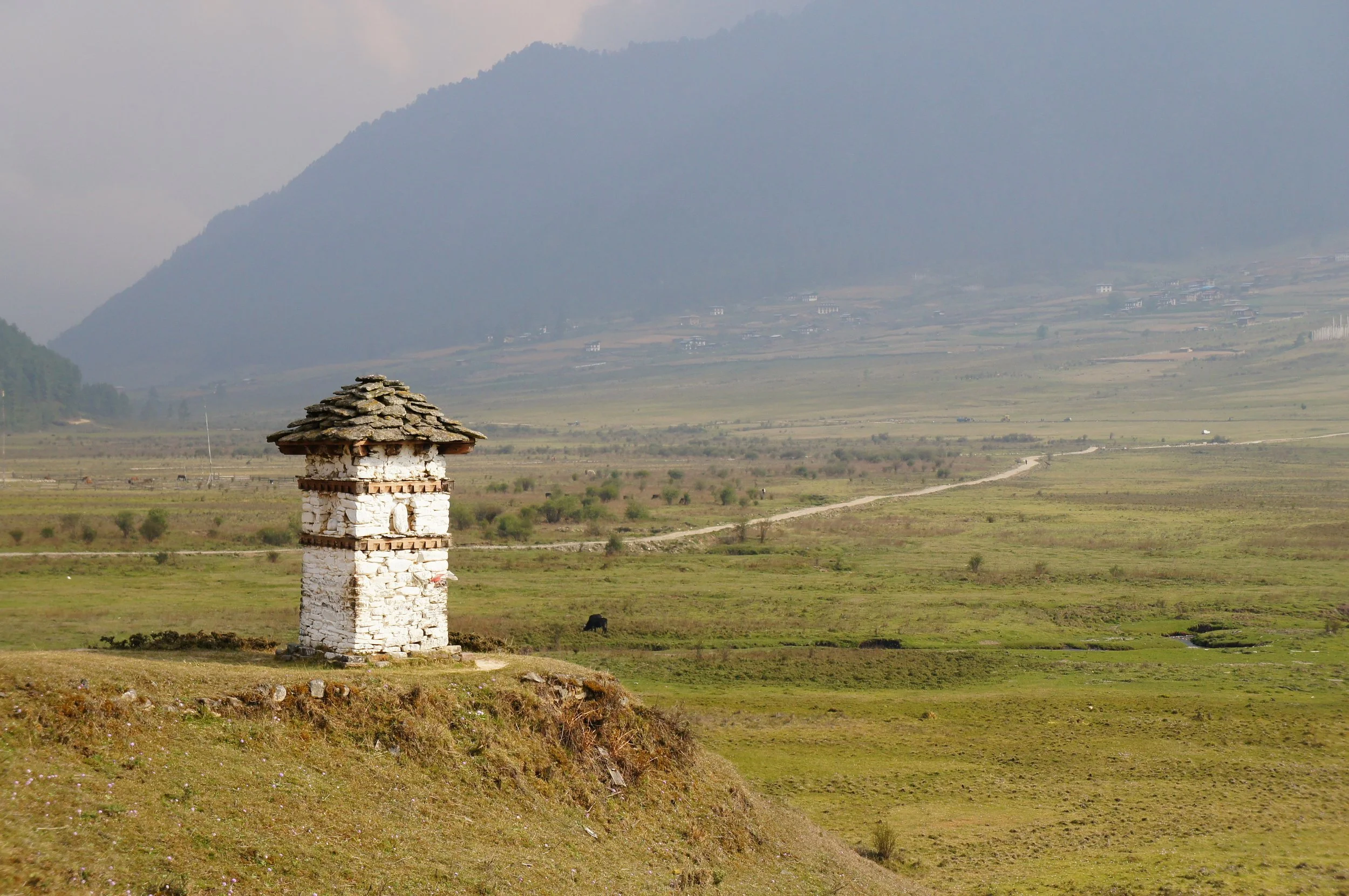 Hikers traversing a scenic Himalayan trail with sweeping mountain views