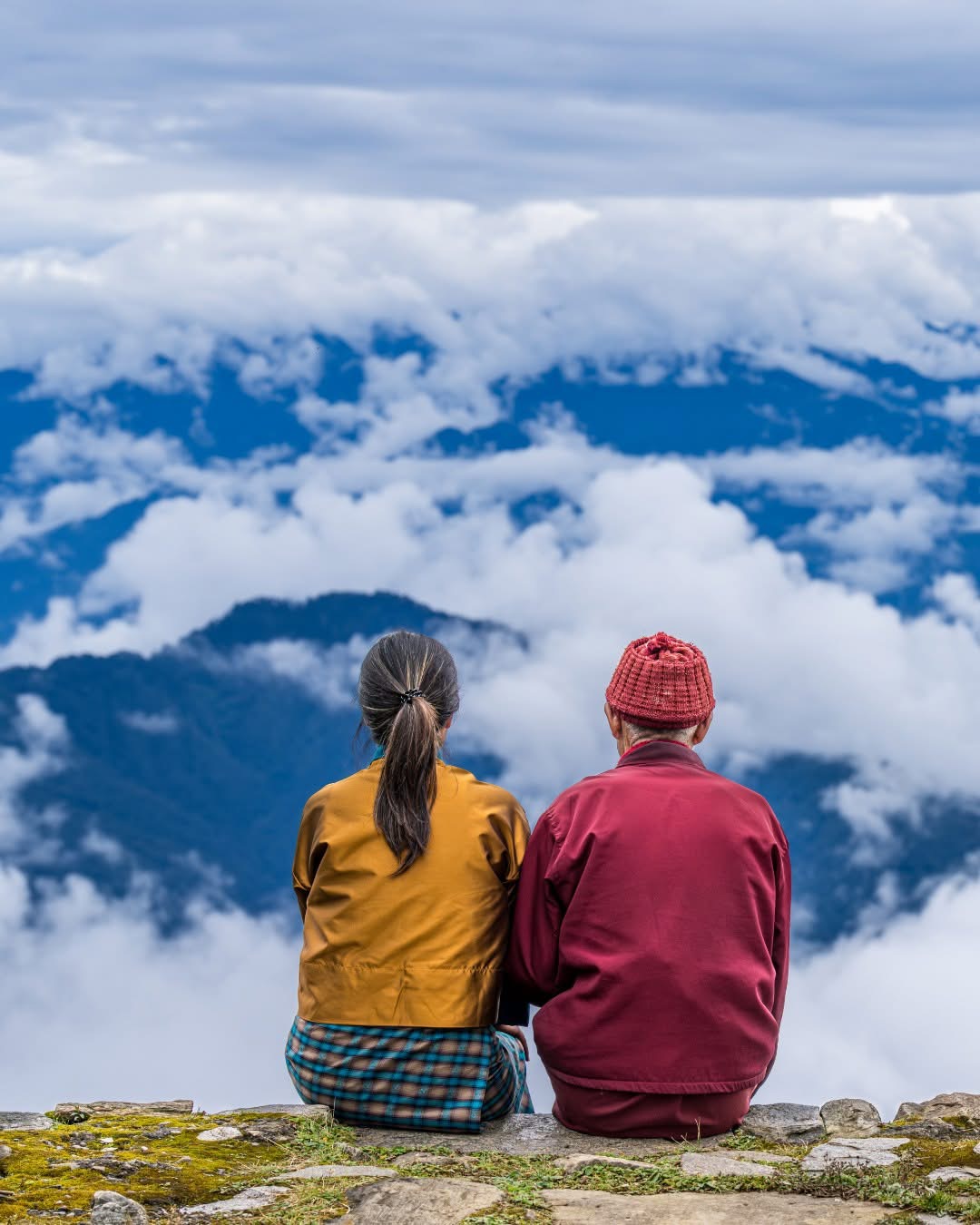 Sunlight filtering through ancient Bhutanese forests