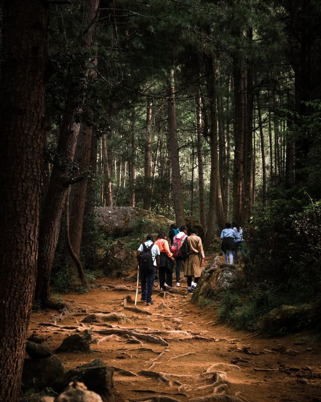 Hikers on a mountain trail in Bhutan