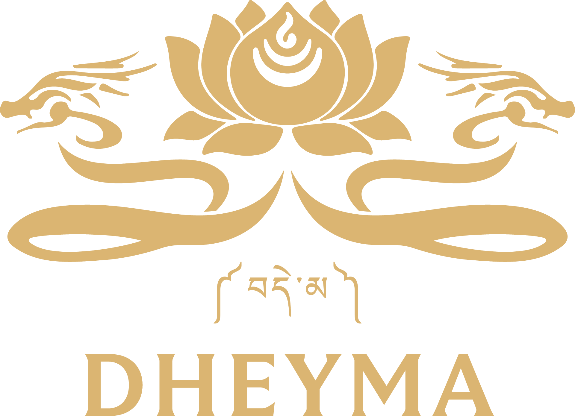 Dheyma Global Ventures